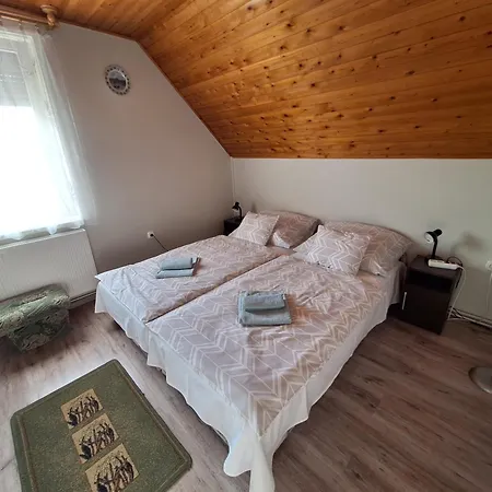 Miseta Vendeghaz Apartment Buzsak