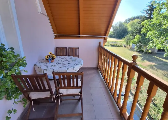 Miseta Vendeghaz Buzsák