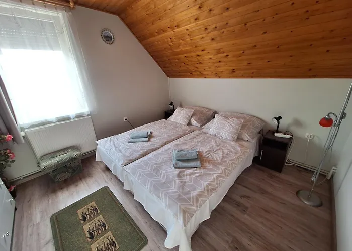 Miseta Vendeghaz דירה Buzsák